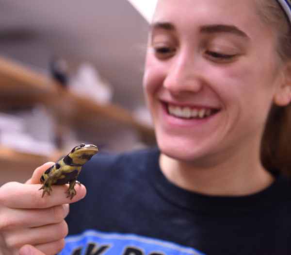 UA Girl Holds Lizard
